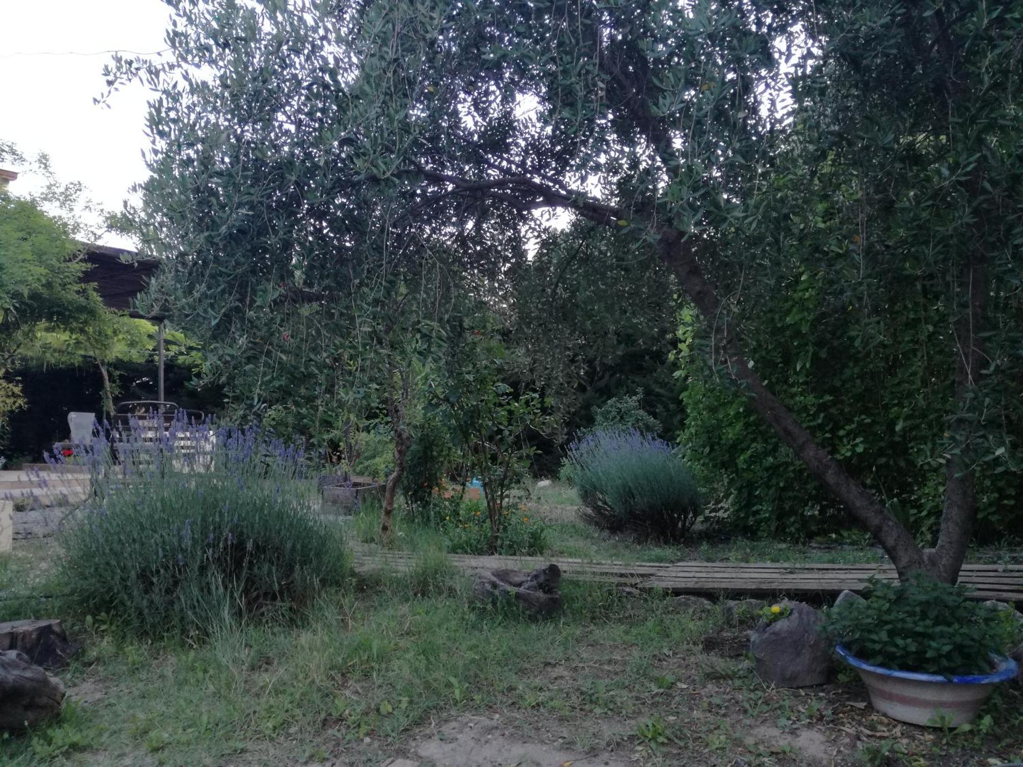 Вілла Casa Con Jardin Y Aparcamiento En Viznar, Junto A Granada Екстер'єр фото